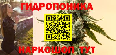 spice Заводоуковск