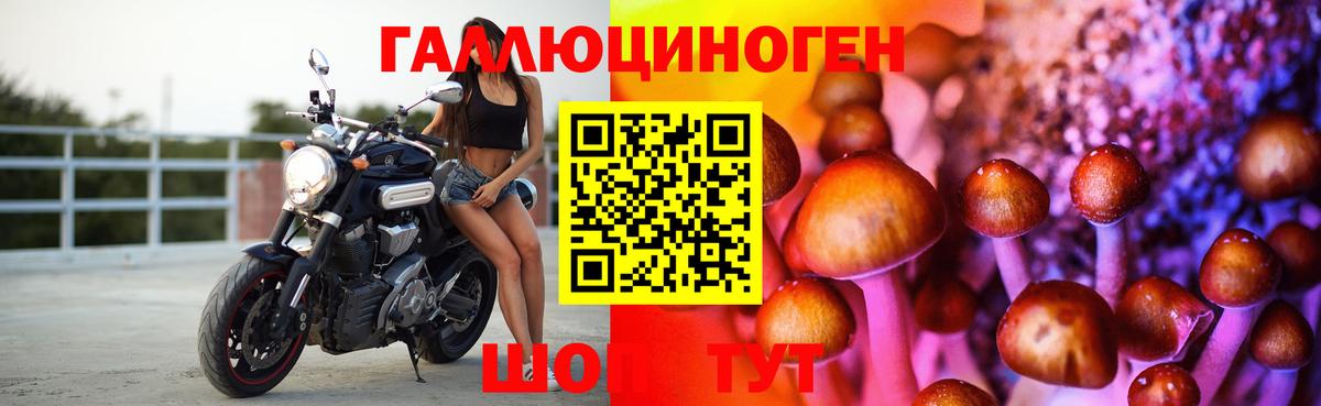 Галлюциногенные грибы GOLDEN TEACHER  Вход с VPN  где купить наркоту  Псилоцибиновые грибы Cubensis  Ликино-Дулёво 